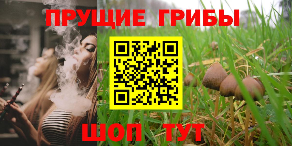 Анжеро-Судженск  Галлюциногенные грибы ЛСД  Вход с VPN  Галлюциногенные грибы мухоморы 