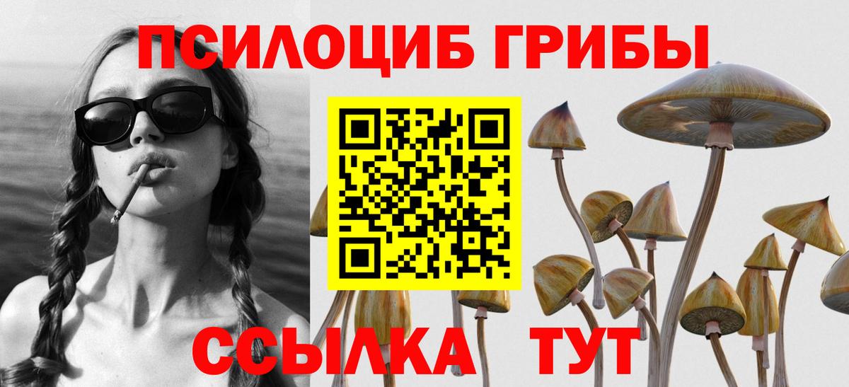 Псилоцибиновые грибы мухоморы Анжеро-Судженск
